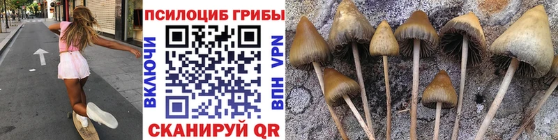 Псилоцибиновые грибы GOLDEN TEACHER  как найти закладки  блэк спрут   Всеволожск 
